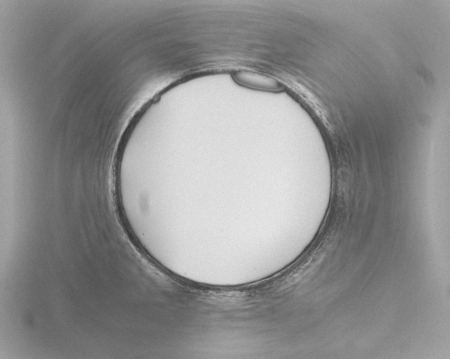 X0000116141285200912211441