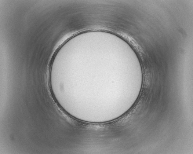 X0000116141286200912211441