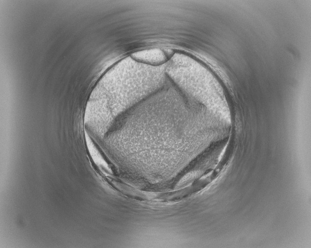 X0000116141289200912211441