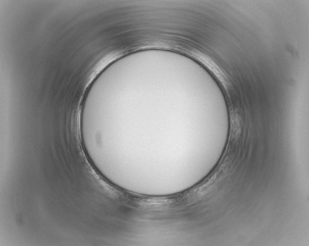 X0000116141290200912211441