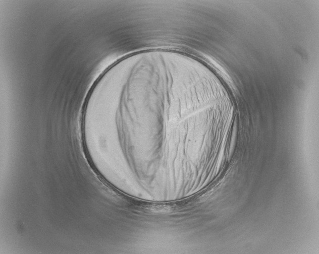 X0000116141291200912211441