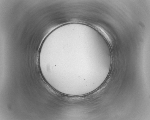 X0000116141292200912211441