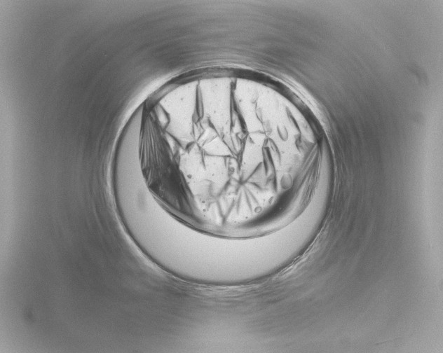 X0000116141293200912211441