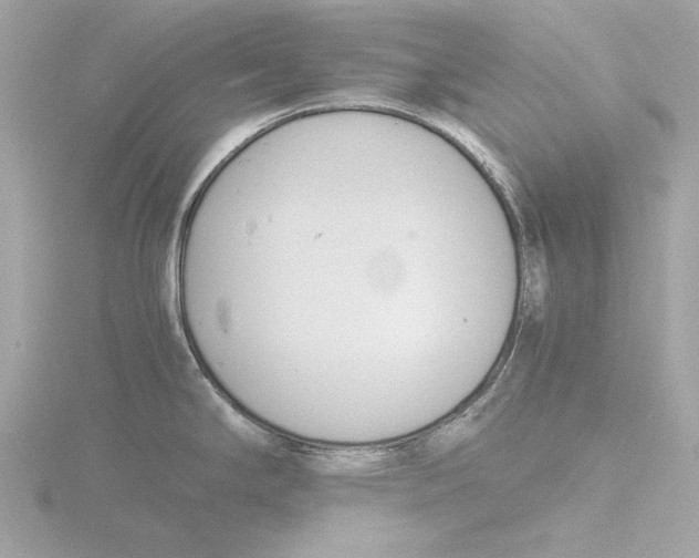 X0000116141294200912211441