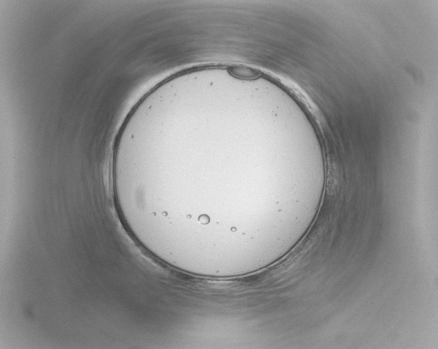 X0000116141295200912211441