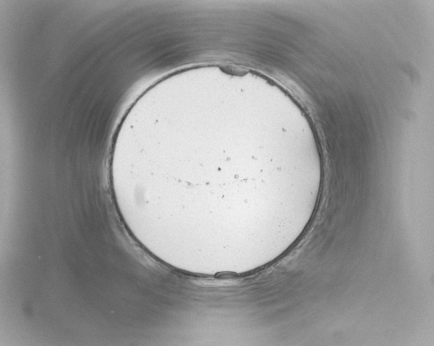 X0000116141296200912211441