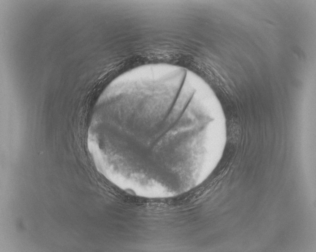 X0000116141297200912211440