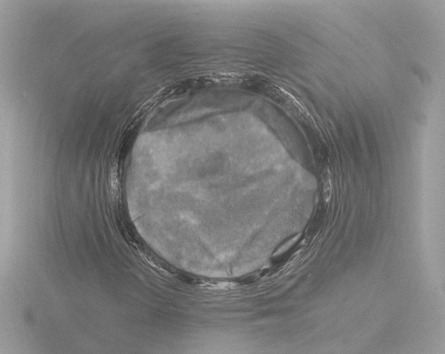 X0000116141298200912211440