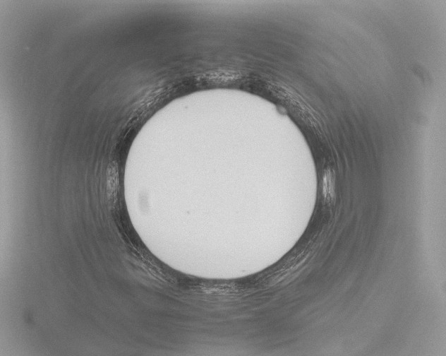 X0000116141299200912211440