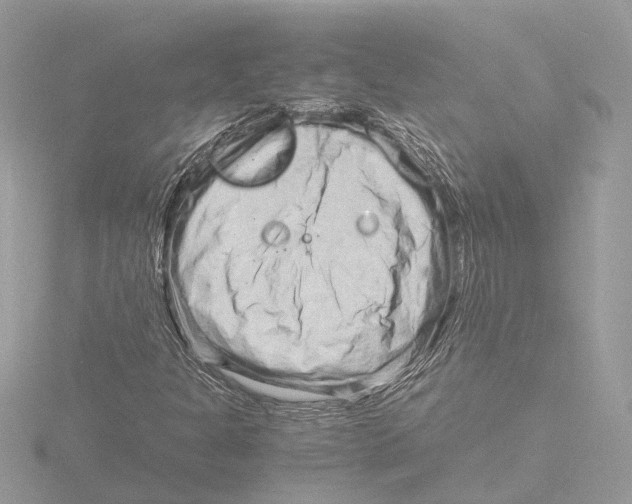 X0000116141301200912211440