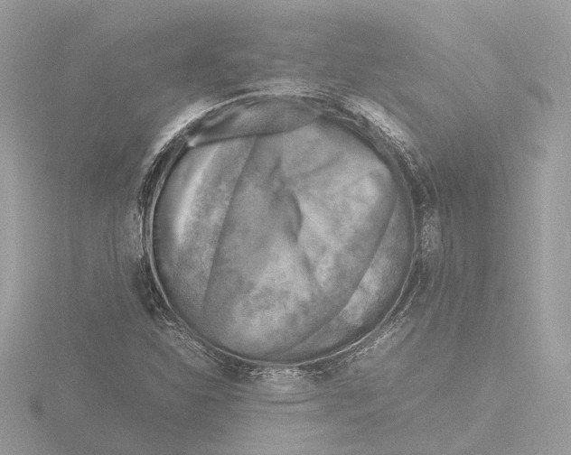 X0000116141310200912211440