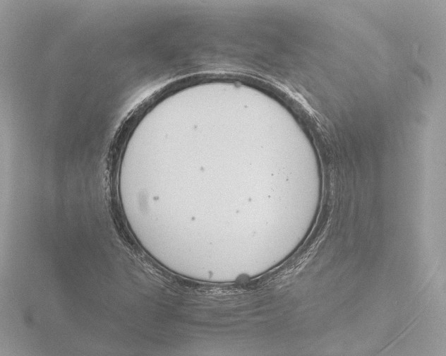 X0000116141311200912211440