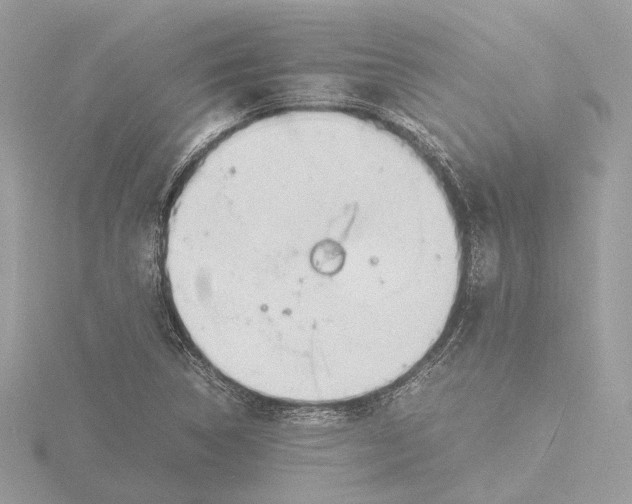 X0000116141314200912211441