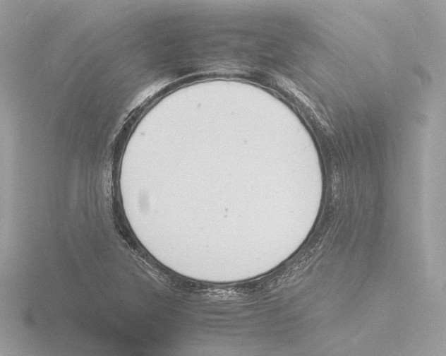 X0000116141315200912211441