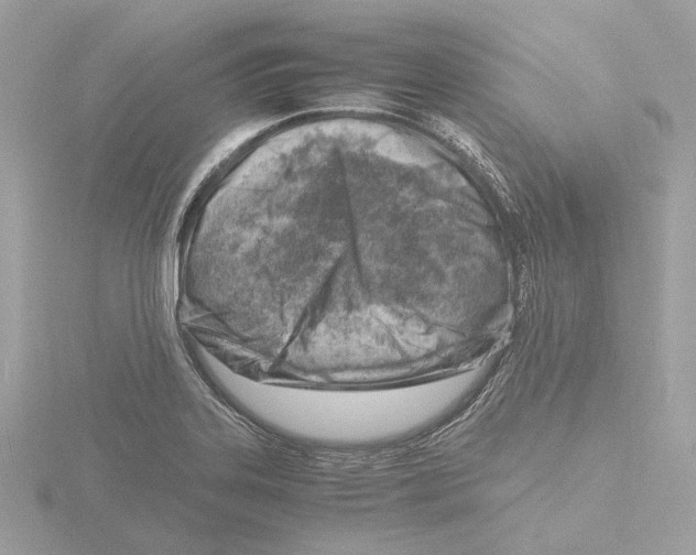 X0000116141323200912211441