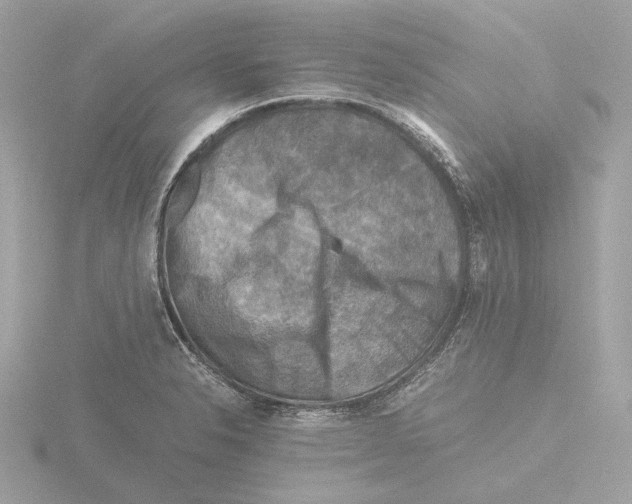 X0000116141326200912211441