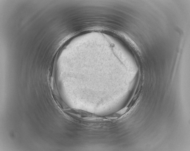 X0000116141329200912211441