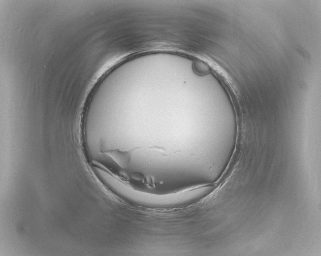 X0000116141333200912211441