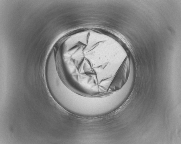 X0000116141334200912211441