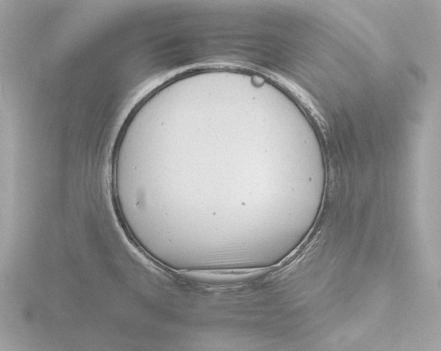 X0000116141335200912211441