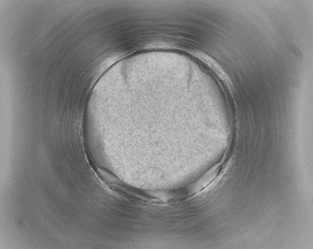 X0000116141337200912211441