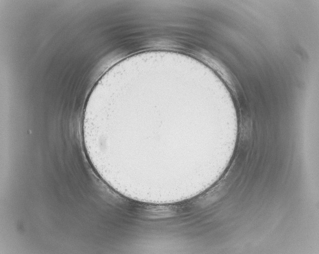 X0000116141338200912211441