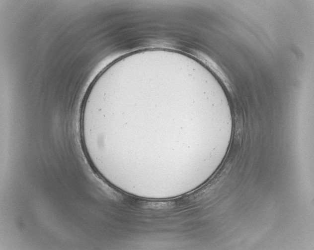 X0000116141339200912211441