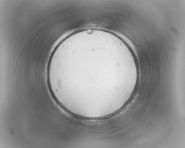 X0000116141341200912211441