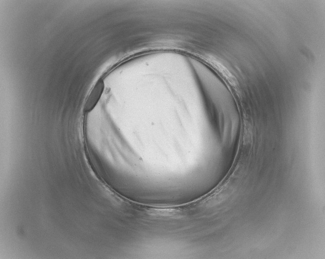 X0000116141342200912211441