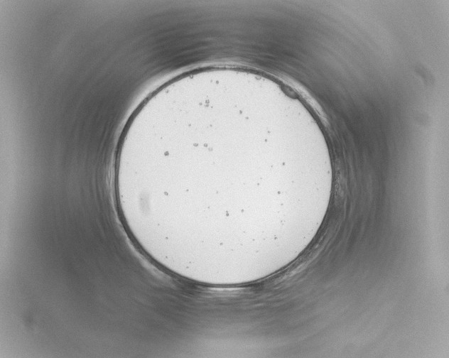 X0000116141343200912211441