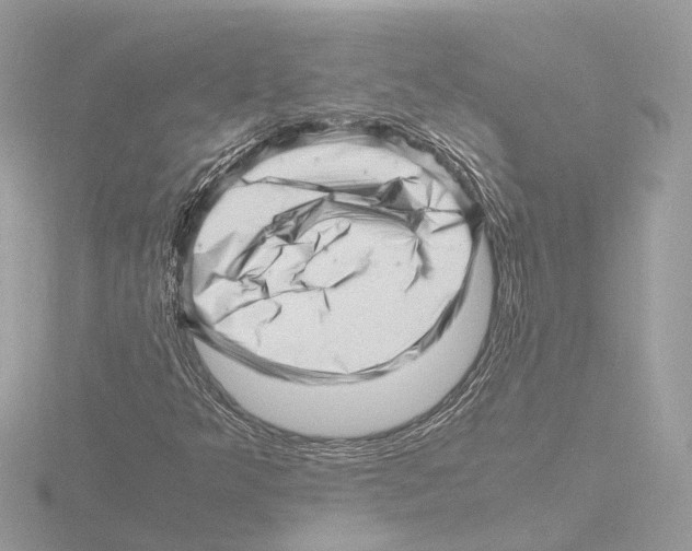 X0000116141349200912211440