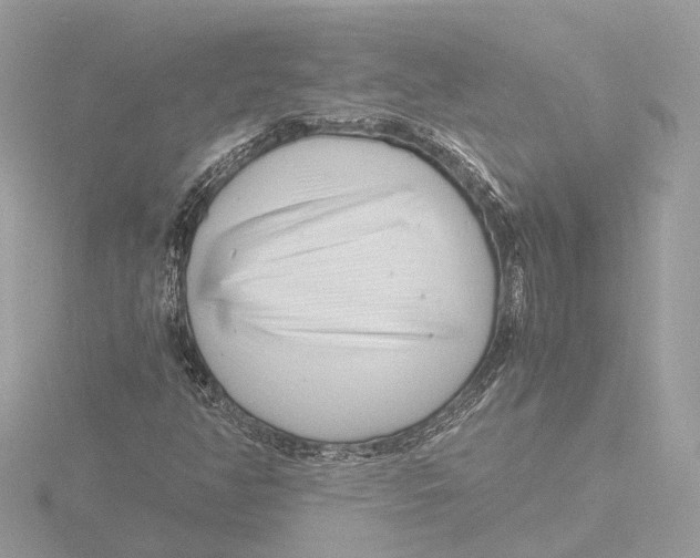 X0000116141350200912211440