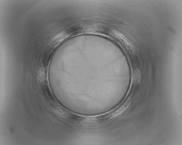 X0000116141353200912211440