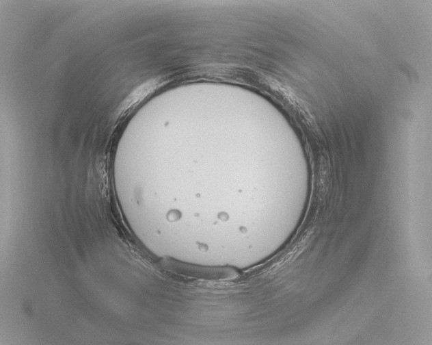 X0000116141354200912211440