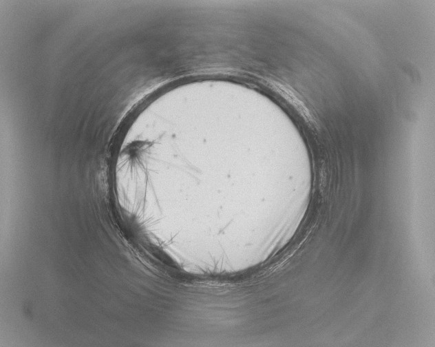 X0000116141356200912211440