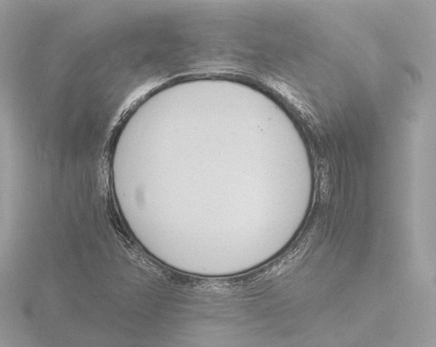 X0000116141358200912211440