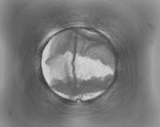 X0000116141359200912211440