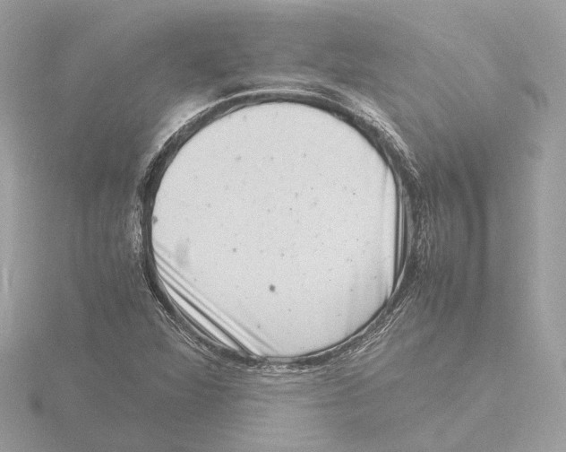 X0000116141360200912211440