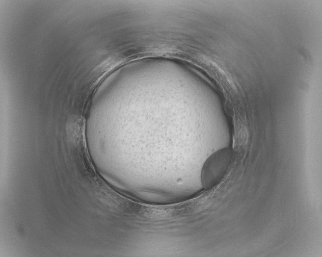 X0000116141361200912211440