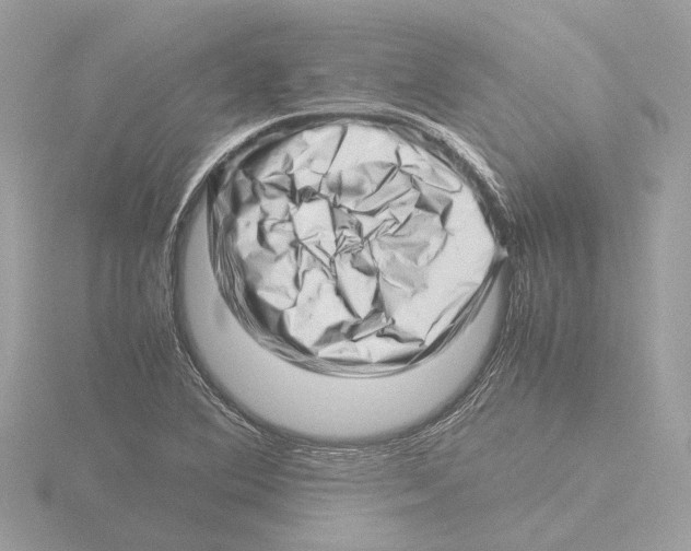 X0000116141364200912211440