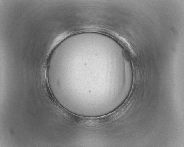 X0000116141365200912211440