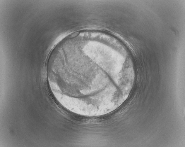 X0000116141367200912211440