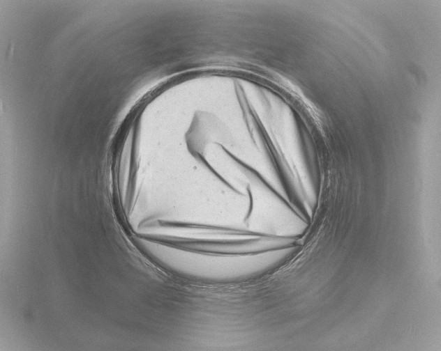 X0000116141368200912211440