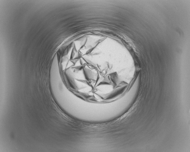 X0000116141369200912211440