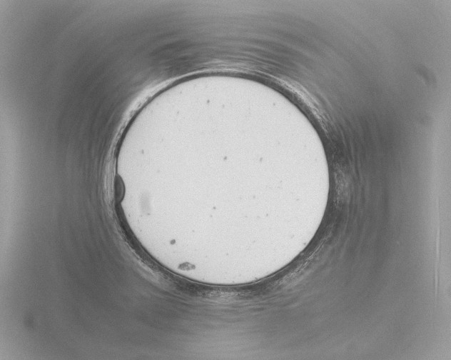 X0000116141371200912211440