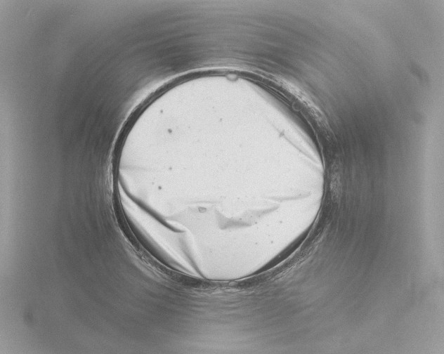 X0000116141372200912211440