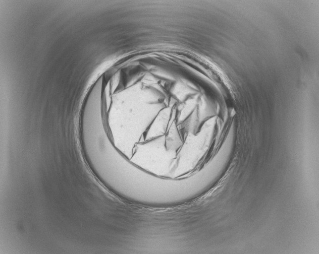 X0000116141373200912211440