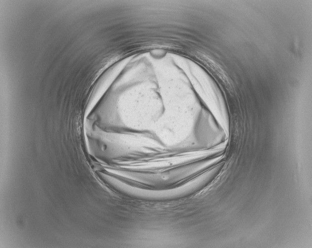 X0000116141377200912211440