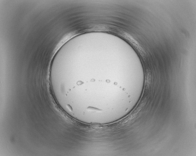 X0000116141378200912211440