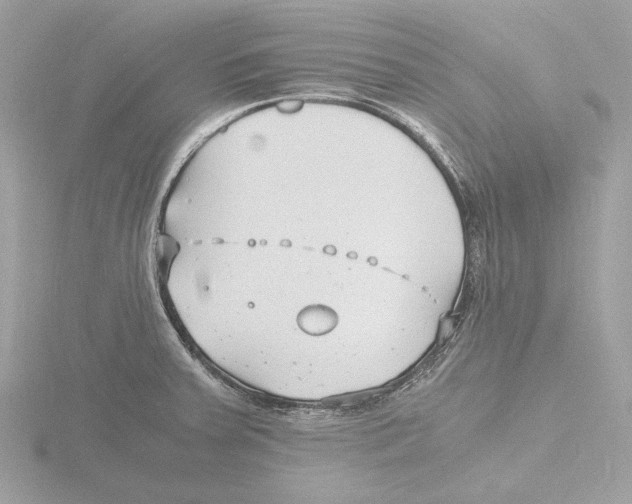 X0000116141379200912211440